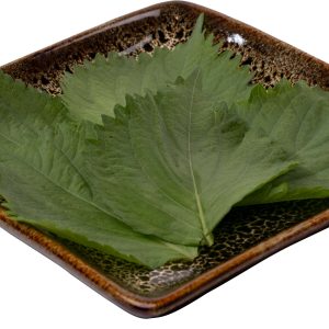 TÍA TÔ NHẬT (NIHON OBA)