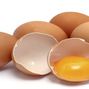 E8 TRỨNG (TAMAGO)